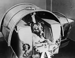 sputnik 2 con Laika