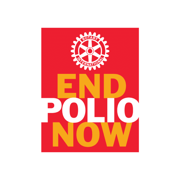 Il programma polio plus